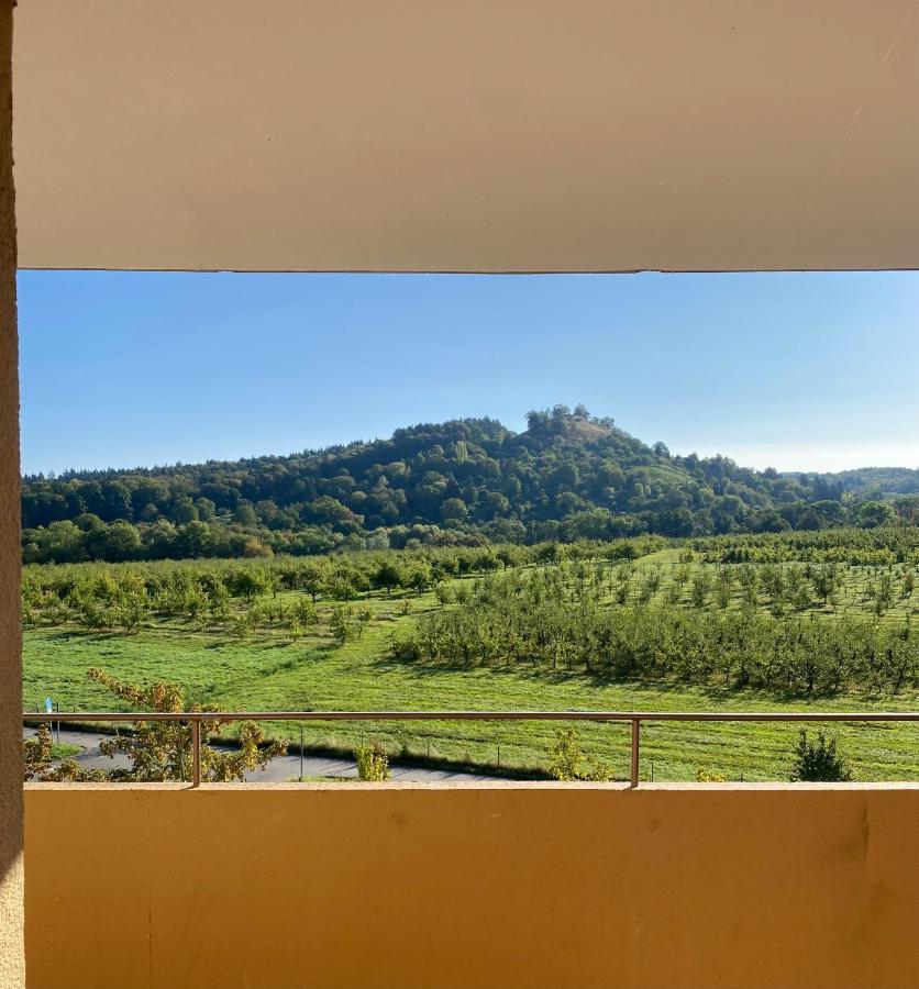 Apartment- Metzingen เมทซิงเงน ภายนอก รูปภาพ